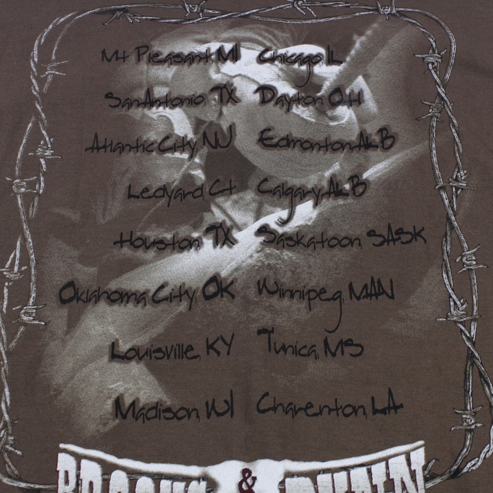 Vintage Brooks & Dunn Tailgate Tour 2000 T-Shirt - Anvil Brand - Size L - Picture 8 of 8
